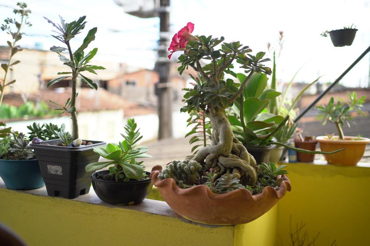 Porto Hostel Porto Seguro Dış mekan fotoğraf
